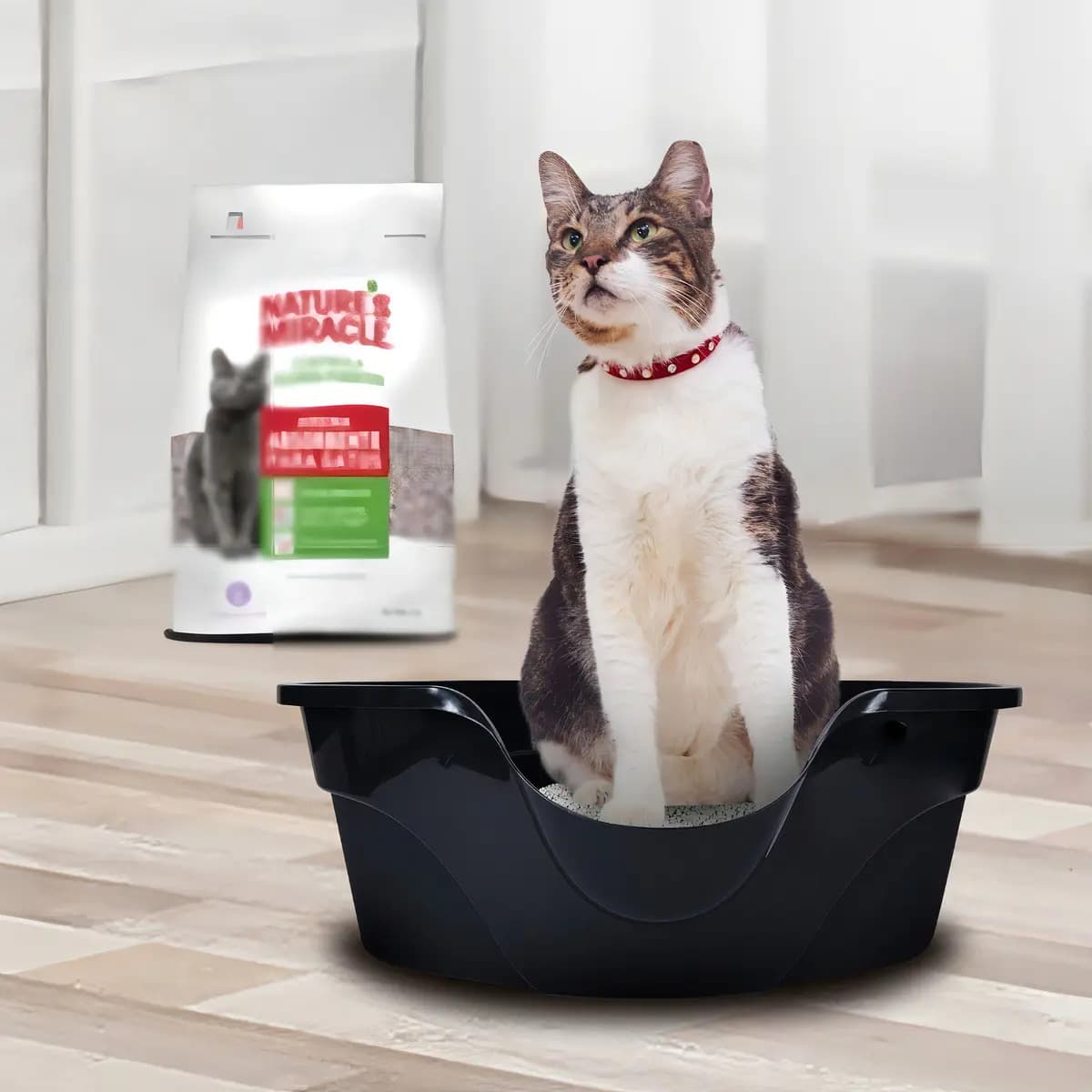 Nature's Miracle Arena Gatos Absorbente Rendidora Lavand 2kg