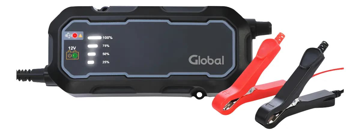 Cargador Batería Auto Moto 12v 24v Pinzas